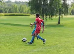 美加墨世界,资讯,美加墨世界杯,美加墨世界杯,世界杯2026,2026世界杯赛程,世界杯门票,美加墨联合申办,世界杯资讯,足球盛会